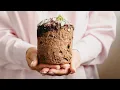 Download Lagu COZONAC PANETTONE CU FRUCTE CONFIATE