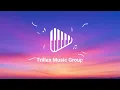 Lewis Capaldi - Something In The Heavens (Lyrics)