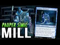PAUPER S BEST MILL DECK Simic Persistent Petitioners Advisor Combo MTG Magic The Gathering