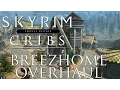 Skyrim Special Edition Cribs - Eli s Breezehome Overhaul
