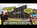 Download Lagu Hanya pakai lagu campursari, Mas Hengki merubah MD2000 jadi monster 🔥