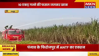 गन्ने के खेत में भीषण आग, 10 एकड़ फसल जलकर खाक | किसानों को बड़ा नुकसान