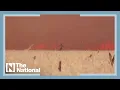 Spanish man dramatically escapes wildfire with clothes ablaze