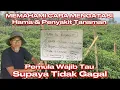 Download Lagu MEMAHAMI PESTISIDA UNTUK HAMA DAN PENYAKIT TANAMAN MP3