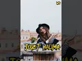 Download Lagu LAGU ACARA JOGET HALIMA [Willy stvno remix]✓
