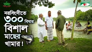 বাংলাদেশের মৎস্য চাষ: অভাবনীয় সাফল্য ও নতুন সম্ভাবনা