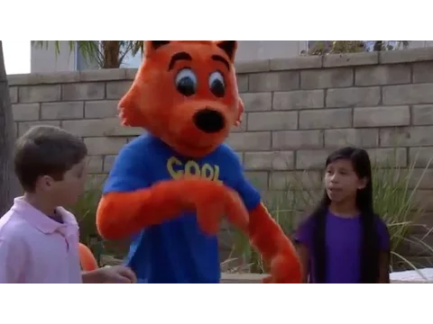 Cool Cat Finds A Gun Trailer