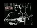 Muddy Waters - Rollin' And Tumblin' - [ Live 1976 ]