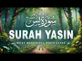 Lagu Surah Yaseen سورة يس | Soothing \u0026 Beautiful Recitation for Inner Peace by Alaa Aqel Quran for Sleep