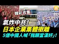 【精彩合集】中共被氣炸了！日本企業集體撤離，5億中國人喊「我願當漢奸」！