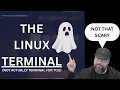 43 incredibly useful Linux terminal commands for beginners it s not scary really