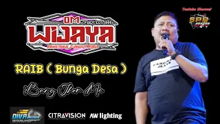 Download RAIB ( BUNGA DESA ) .BANG JHON MC . OM WIJAYA  .Live Tunah Semanding Tuban 2023 MP3
