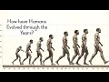 How have Humans Evolved Through the Years