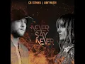 Never Say Never - Cole Swindell & Lainey Wilson