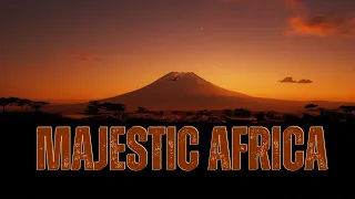 Glorious Animals Of Africa Enduring Hope Daniel Deuschle Scenic Wildlife Film 