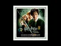 45 Harry's Wondrous World | John Williams