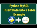 Python Database Connection How to connect python with MySQL database Python MySQL Insertion