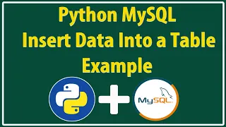 Python Database Connection How to connect python with MySQL database Python MySQL Insertion