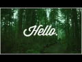 Download Lagu Adele hallo cover salsa