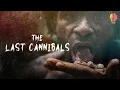 Download Lagu The Last Cannibals