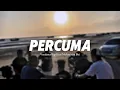 Lagu PERCUMA - Vendetta Rap Feat Melanesian Boi ( Official Audio )