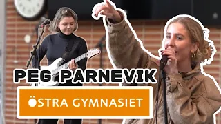 Download Peg Parnevik uppträder på Östra Gymnasiet MP3