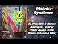 BLOND:ISH & Stevie Appleton - Never Walk Alone (Alex Wann Extended Mix) [Insomniac Records]