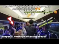 Download Lagu PENGAMEN SHOLAWAT//BIKIN MERINDING SEMUA SANTRIWATI KOMPAK BAWAIN NADHOM ALFIYAH 😍🥰