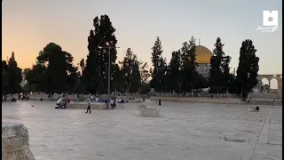  نشيد فتنت روحي يا شهي   د المنشد المقدسي أمير دعنا ينشد في رحاب  المسجد الأقصى دندنها