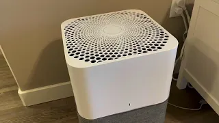 Blueair Blue Pure 211 Auto Large Area Air Purifier with Auto mode Review Smart design automatic m