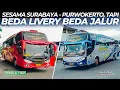 Lagu Keren! 2 Bus Sugeng Rahayu yang Punya Rute Sama Tapi Jalurnya Beda