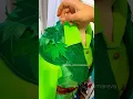 Download Lagu Making Peter Pan costume🌿💚#disneycosplay #cosplay #peterpan #neverland #sewing #sewinghacks #sew