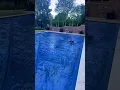 Download Lagu Bro is lagging😂🤣 #lag #dog #funnydog