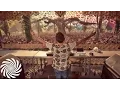 Download Lagu Avalon Live At Ozora Festival 2015