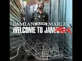 Damian Marley - Hey Girl (Enhanced Lows)
