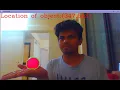 Object Distance Calculation - Method 2 Python OpenCV