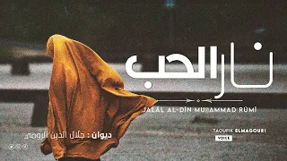 نار الحب سلطان العاشقين جلال الدين الرومي العشق الألهي 