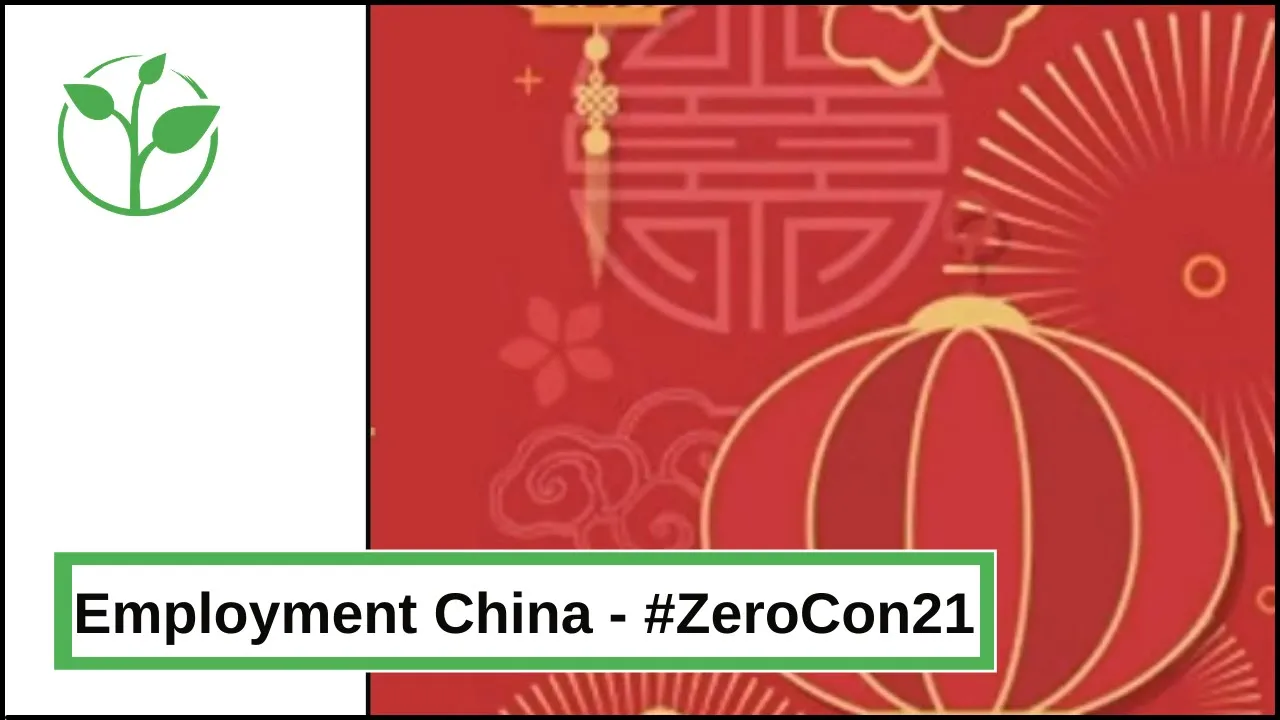 Employment of People with Disabilities in China by St.Cloud State University and Confucius Institute