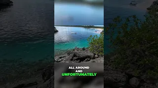 Dean’s Blue Hole: Paradise or Peril for Freedivers?