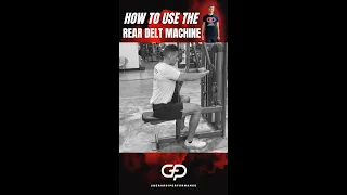 How to Properly Use The Pec Deck Rear Delt Fly Machine With Good Form Exercise Demonstration