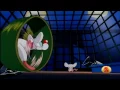 Video di Mignolo col Prof. - Pinky and the Brain