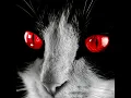 I Walk the Line (lucidmusic Remix)