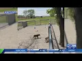 It s not humane Former Petland employee speaks out as Lexington pet sale ban approaches