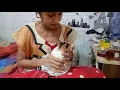Download Lagu kucing terserang sesak nafas, dikasi nafas buatan alhamdulillah bisa nafas lagi,