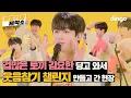 Download Lagu [Messed Up Studio] Scaredy Cat Yohan Kim No Laugh Challenge ㅣDingo Music