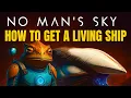 No Man s Sky VOID EGG Guide How To Get The Living Ship FAST