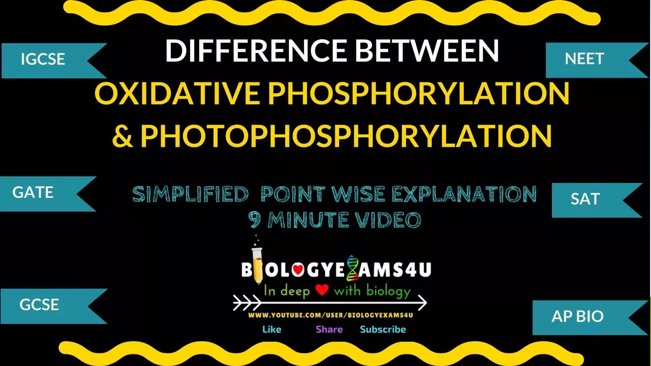 Difference between Oxidative phosphorylation and Photophosphorylation