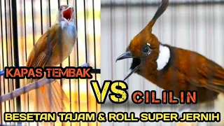 kapas tembak vs cililin jernih dan berdurasi panjang