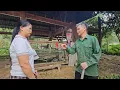 Download Lagu Mrs. Xuyen's husband refused to divide his property with her