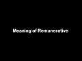 What is the Meaning of Remunerative Remunerative Meaning with Example
